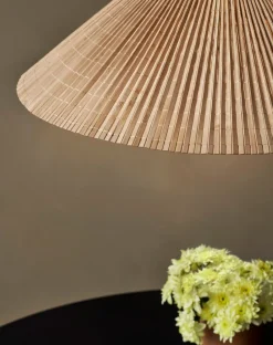 A1972 Pendelleuchte Ø60 cm