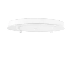 Amp Canopy Basis