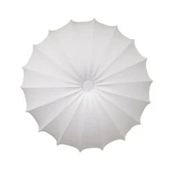 Anna Plafond