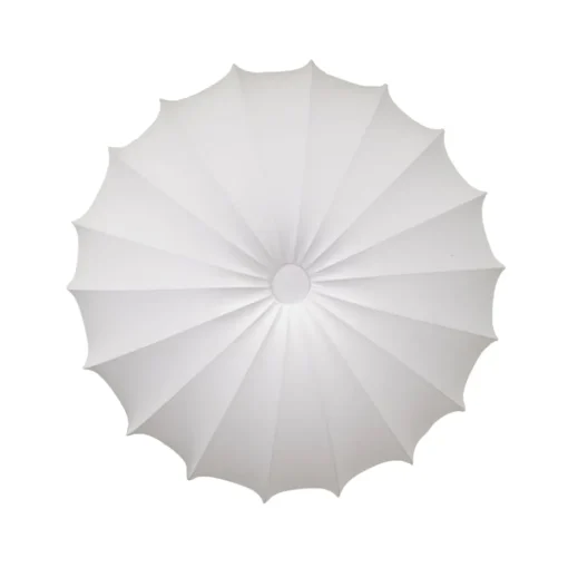 Anna Plafond