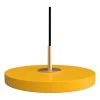 Asteria Micro Pendelleuchte