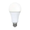 E27 kaltweiß 20W LED