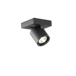 Focus 1 Wand- und Pendelleuchte