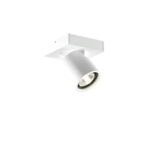 Focus 1 Wand- und Pendelleuchte