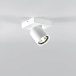 Focus 1 Wand- und Pendelleuchte
