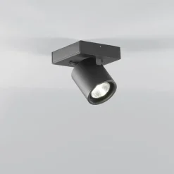 Focus Mini 1 Wand- und Pendelleuchte