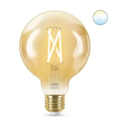 Philips WiZ Globus Lichtquelle E27 50W