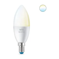 Philips WiZ Leuchtmittel E27 40W