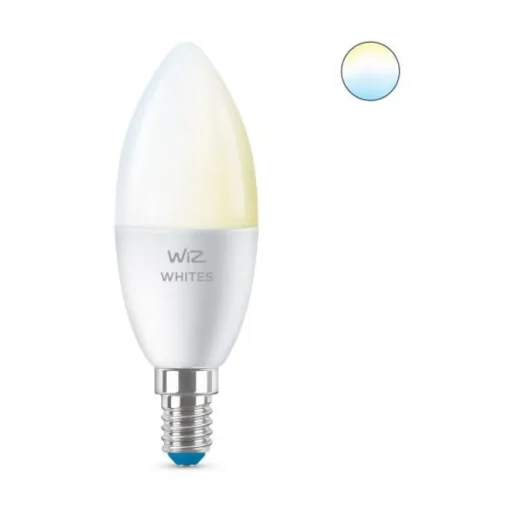 Philips WiZ Leuchtmittel E27 40W