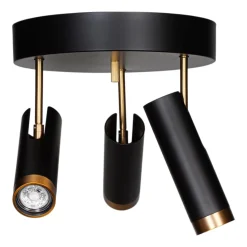 Puls Spotlight