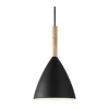 Reine Pendelleuchte Ø20 cm