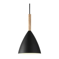 Reine Pendelleuchte Ø20 cm