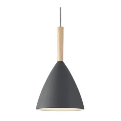 Reine Pendelleuchte Ø20 cm