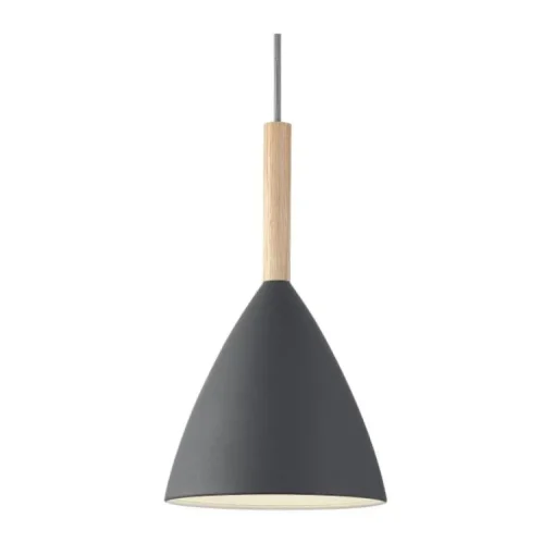 Reine Pendelleuchte Ø20 cm