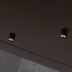 Solo Round spotlight
