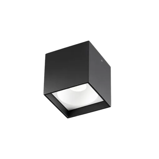 Solo Square spotlight