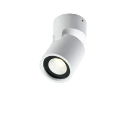 Tip 1 spotlight