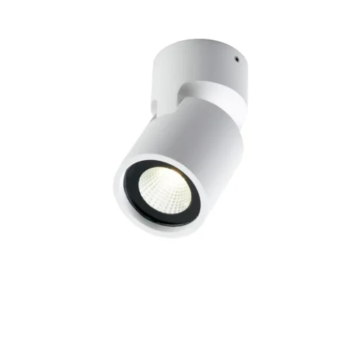 Tip 1 spotlight