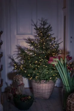 Weihnachtsbaumlichterkette 200 Lichter 240 cm
